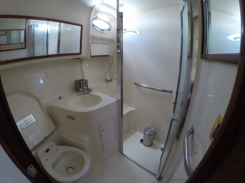 Baño privado del Sea Ray 44 con lavabo, inodoro y regadera independiente con puerta de vidrio