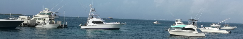 Calendario de especies de pesca del Caribe Mexicano — yate de pesca deportiva navegando el mar turquesa de Cancún