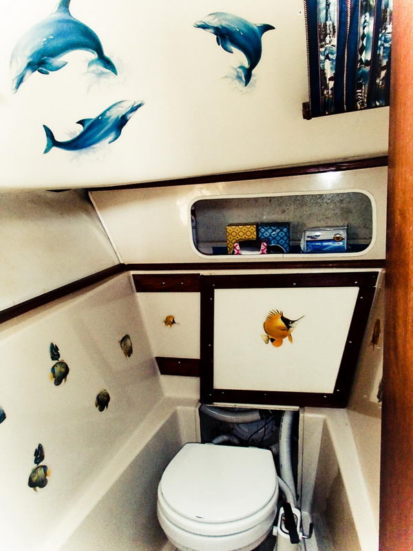 Baño marino del catamarán de 32 pies decorado con delfines y peces tropicales, charter privado en Puerto Aventuras Riviera Maya