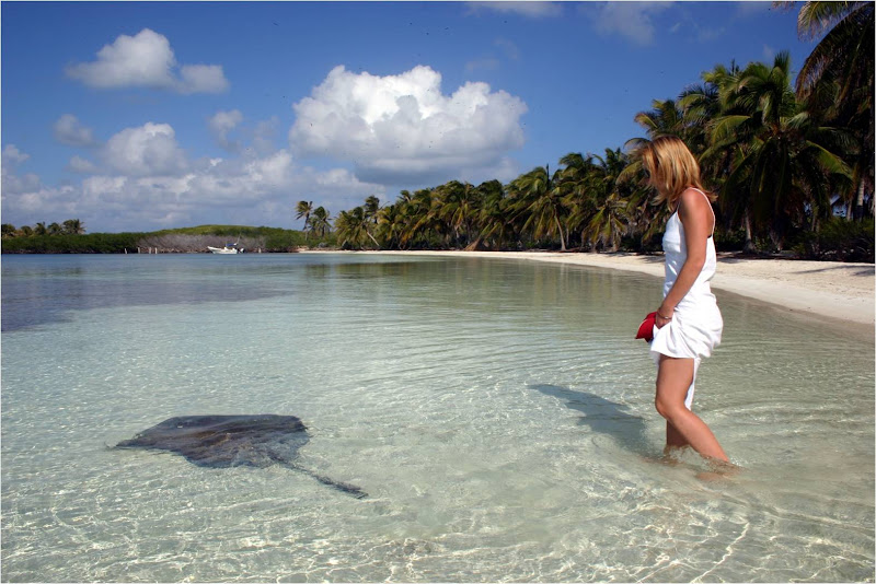 Mujer con vestido blanco caminando por la orilla de una playa de Contoy bordeada de palmeras mientras una raya se desliza por el agua cristalina junto a ella