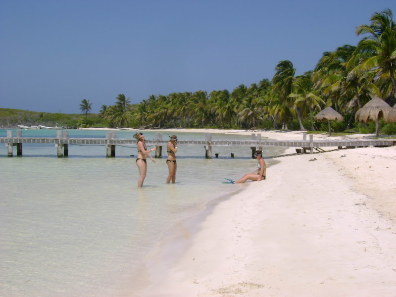 Personas con snorkel entrando desde una playa de arena blanca de Contoy al agua cristalina y somera junto a un muelle de madera y palmeras