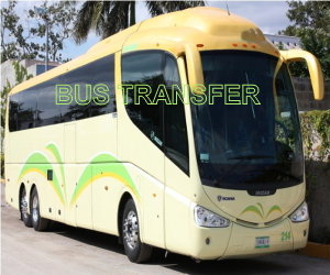 Charter bus and limousine transfer carrying groups from Cancun hotels to the marina for yacht and boat departures