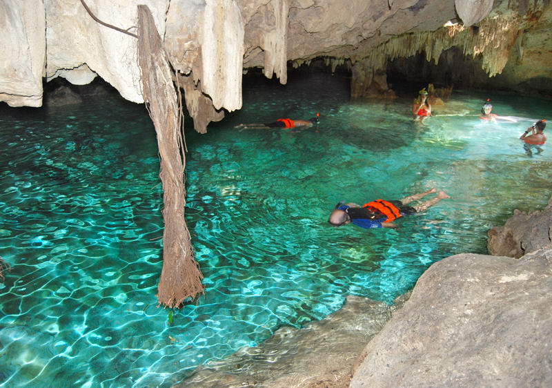 Visitantes con chalecos salvavidas haciendo esnórquel en el agua turquesa poco profunda del cenote de Aktun Chen, con una raíz colgando hacia la poza
