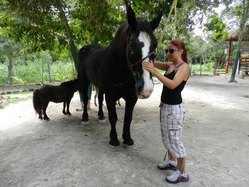 Caballos y jinetes junto al Caribe turquesa en Playa Maroma cerca de Playa del Carmen