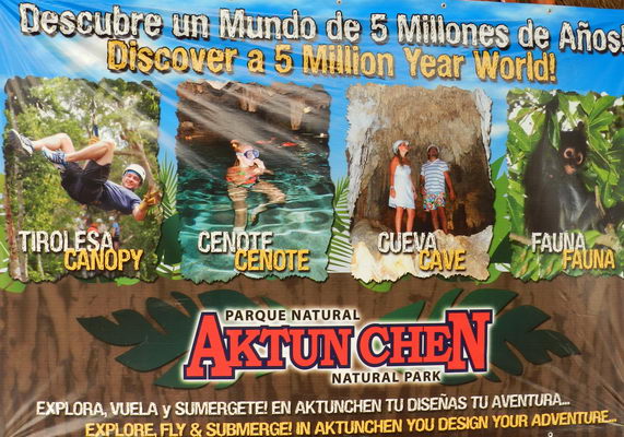 Cenotes y tirolesa de dosel en la Riviera Maya