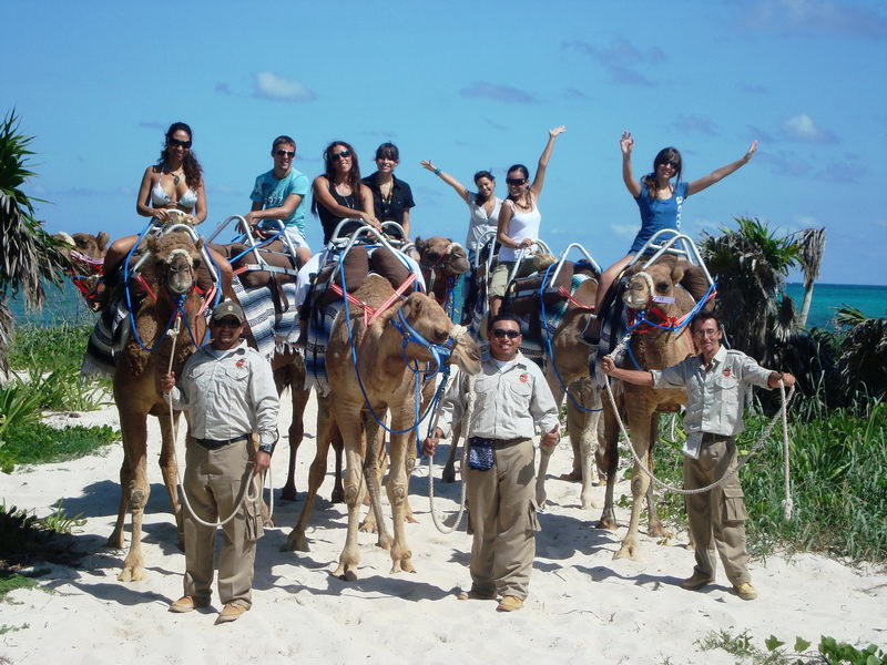 Grupo alegre montando camellos con guías por un sendero de la playa de Maroma, con los brazos en alto bajo un cielo azul caribeño