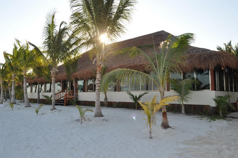 Restaurante frente al mar con techo de palapa rodeado de palmeras sobre arena blanca en Marina Maroma, Riviera Maya