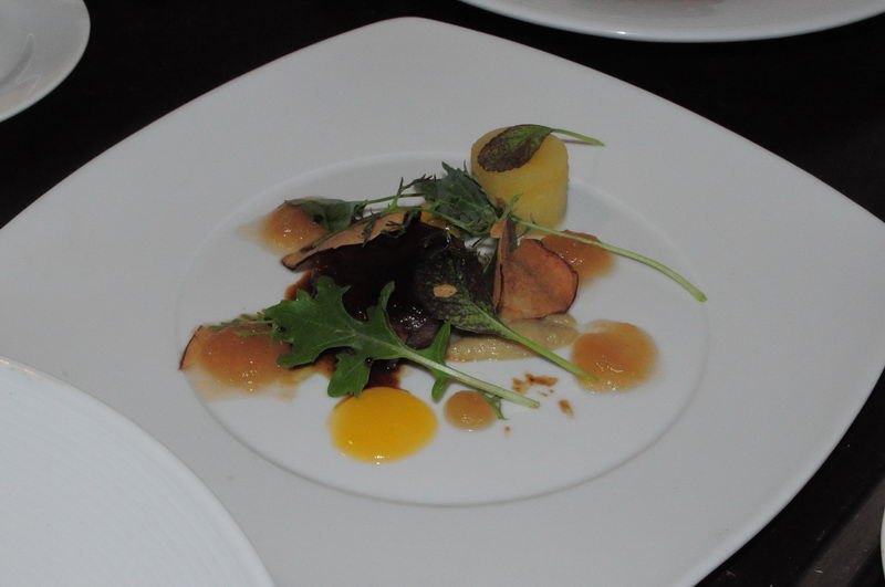 Entrada de vegetales y setas con arúgula y salsa cítrica, presentación gourmet en el restaurante de Marina Maroma, Riviera Maya