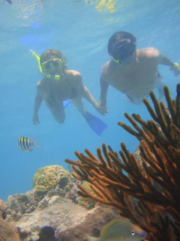 Underwater photo of a couple snorkeling side by side above a coral reef, holding hands. They wear masks and snorkels; a striped sergeant-major fish and brown rope-sponge coral are visible in the clear blue water.