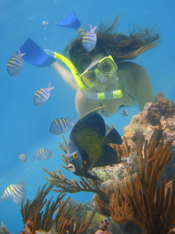 Underwater scene of a woman snorkeler in a yellow mask above a coral reef, surrounded by striped sergeant-major fish and a French angelfish. Brown gorgonian coral in the foreground, clear blue water throughout.