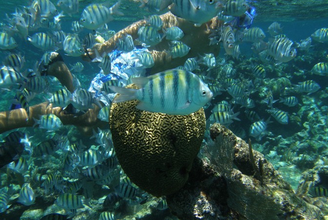 Luxury yacht charter Cancun