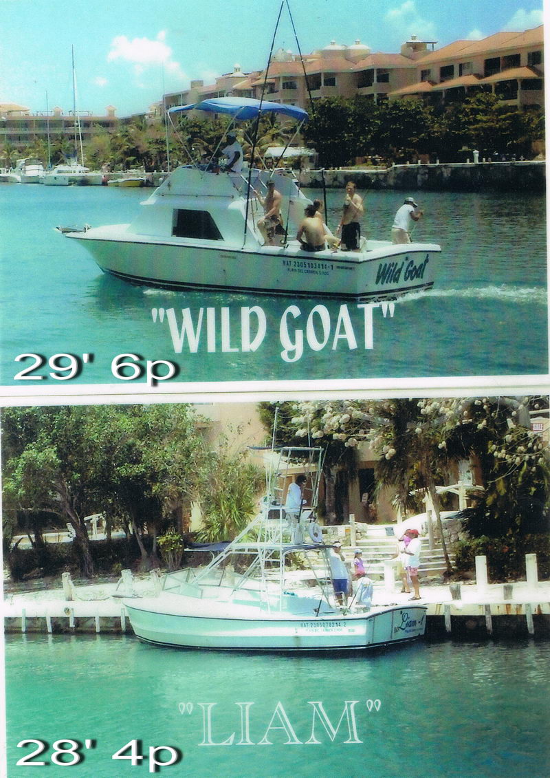 Vertical two-photo collage of sportfishing boats: top labeled Wild Goat 29 feet 6 passengers showing a white flybridge boat with people aboard, bottom labeled Liam 28 feet 4 passengers, both in a marina canal.