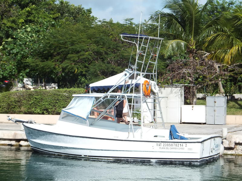 White sportfishing boat with a tall tuna tower and blue bimini top moored along a marina wall, its stern showing registration MAT 2305078214 2 Playa del Carmen, lush green trees and palms behind.
